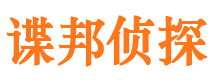 攸县私家调查公司